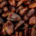 Old India Dates Pitted 2kg - Premium Quality Dried Dates - Buy Online Now! - Buy Online on SooperMarket.com