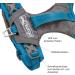 Kurgo Journey Air Dog Harness - Padded Chest & Back Handle for Active Dogs - Size XL Blue | International Shipping Available - Buy Online on SooperMarket.com