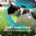 Sergeant's Guardian Flea & Tick Cat Collar - 1 Count | Long-lasting Protection - Buy Online on SooperMarket.com