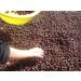 3lb Organic De-seeded Soap Berries/Soap Nuts + 2 Wash Bags - Eco-Friendly Laundry Solution - Buy Online on SooperMarket.com