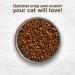 Rachael Ray Nutrish Salmon & Brown Rice Dry Cat Food 3lb - Premium Natural Formula - Buy Online on SooperMarket.com