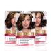 L 'Oreal Paris Excellence 5.3 Golden Brown 1 piece (pack of 3)
