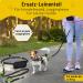 Buy Bungee Leash for Small Dogs (up to 15kg) - Adjustable 110-160cm Jogging Line Extension with 2 Loops - Buy Online on SooperMarket.com