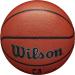 WILSON NBA Authentic Series Size 7 Basketball - 29.5 Indoor/Outdoor - Buy Online on SooperMarket.com