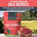 Viva Naturals Organic Dried Goji Berries - Non-GMO, Vegan, 1 lb | Perfect for Baking & Healthy Snacks - Buy Online on SooperMarket.com