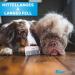Bluepet Zauberkamm - Patented Rotating Comb for Long-Haired Dogs Cats & Humans - Effortlessly Removes Knots & Tangles - Buy Now! - Buy Online on SooperMarket.com
