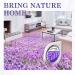 Lavender Essential Oil Air Freshener 4 Pack - Long Lasting Odor Eliminator for Home, Closets, Bathroom - Up to 120 Days - Buy Online on SooperMarket.com