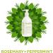 Sapadilla Rosemary + Peppermint Biodegradable Hand Soap - 12 oz Pump - Eco-Friendly & Refreshing - Buy Online on SooperMarket.com