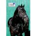 Jose Breastplate Show - Premium Portuguese Spanish Black & Brown Tysons VB WB XF XXF Calfblood (XX Full Brown) - International Shipping - Buy Online on SooperMarket.com
