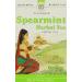 Palanquin Spearmint Herbal Tea - 40 Bags | Refreshing and Aromatic - Buy Online on SooperMarket.com