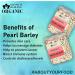 Blessfull Healing Organice Pearl Barley 2 lb (907 Gram) - Buy Online on SooperMarket.com
