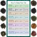 Organic Orange Pineapple Dream Loose Leaf Fruit Tea - 2oz Pouch Bag | Natural Flavors | Herbal Tea Blend - Buy Online on SooperMarket.com