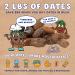 Puffies by Bohemian Dates | Whole Medjool Dates | Soft & Chewy Caramel Flavor | 2 lbs - Buy Online on SooperMarket.com