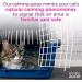 2 oz Comfort Zone Cat Calming Spray - Reduce Urine Marking & Scratching - Travel Size - Buy Online on SooperMarket.com