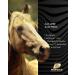 HOOFGOLD BlueStuff - 100ml Hoof Care for Horses | Quick Thrush Remedy | International Shipping - Buy Online on SooperMarket.com
