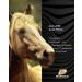 HOOFGOLD Hornpad for Horses - 10 Pads for Effective Thrush and Frog Care | International Shipping - Buy Online on SooperMarket.com