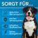 Buy Vitamin B Complex for Dogs 100ml | All B Vitamins Included | Innovative Drops Formula | Made in Germany - Buy Online on SooperMarket.com