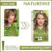 Naturtint 7N Hazelnut Blonde Hair Color - Ammonia Free, Vegan, 100% Gray Coverage - Buy Online on SooperMarket.com