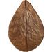 Arka Myscape Catappa Leaves - 10 Natural Seafaring Tree Leaves for Freshwater Aquariums | 8-12cm Enhances Fish & Shrimp Health - Buy Online on SooperMarket.com