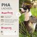 Buy PHA Salmon Oil for Dogs Cats & Horses | Sustainable Omega 3 & 6 Fatty Acids from Norway - 1L (1000ml) - Buy Online on SooperMarket.com