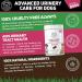 Dog Urinary Health Supplements 60 Soft Chews | Antibiotic Remedy | Stimulates Immune System & Maintains Overall Health | Cranberry & Echinacea | Wheat Free | Veterinarian Formulated Dog Urinary Care - Buy Online on SooperMarket.com
