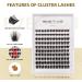 D Curl 120 Clusters Wide Stem Cluster Lashes 10-16mm Length - DIY Eyelash Extensions for Soft Fluffy Look - 10mm-16mm Mix - Buy Online on SooperMarket.com