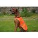 4Legriend Dogs Security Vest - High Visibility Blaze Orange (Large) for Outdoor Safety | 5 Sizes Available - Protect Your Dog Day and Night - Buy Online on SooperMarket.com