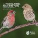 Schoen Farms Finch and Small Wild Bird Seed Food Mix (5 LBS) - Buy Online on SooperMarket.com