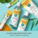 Burt's Bees Foaming BHA Face Wash - Breakout Defense Cleanser 8 Oz - Buy Online on SooperMarket.com