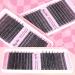Buy Wispy Lash Clusters | 30D & 40D Individual Eyelash Extensions - 320 Pcs D Curl 9-16mm by HeyAlice - Buy Online on SooperMarket.com