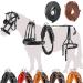 Esposita single -chipping "Professional" carriage dishes for Shetty pony and horse dishes for Minishetty to XL cold blood Routing dishes for single -bridle Mini Shetty Black