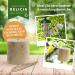 DELICIA Premium Insect Bird Balls - 6 Pack for Garden & Wild Birds | Meisen Dumplings with Hangers - High-Quality Bird Feed - Buy Online on SooperMarket.com