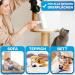Bluepet Rollotollo Animal Hair Remover - Washable & Reusable Lint Roller with Mini Brush for Cats & Dogs - Bestselling Pet Hair Remover - Buy Online on SooperMarket.com