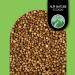 Coriander Seeds Whole Coriander 100% Natural Coriander Seeds Without additives Vegan (250g) 250 GR - Buy Online on SooperMarket.com
