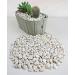 Landare 1.8kg White Pebble Stones - Decorative Gravel for Vases & Gardens (6-10 mm) - Small Decorative Stones - Buy Online on SooperMarket.com