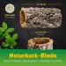 Cork Bark Tube 30 cm (Rodent Reptile Vivarium) cork wood tree oak 11-14 cm | cleaned & sanitised - Buy Online on SooperMarket.com
