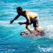Zap Skimboards C-Series M5 48 Skimboard - Assorted Colors - E-Glass Wrap - TuffCoat Gloss Finish - Buy Online on SooperMarket.com