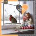 Selify Cat Window Perch - Extra Large & Sturdy, Free Fleece Blanket & Toy, Holds Two Large Cats, Easy to Assemble - Buy Online on SooperMarket.com