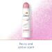 Dove Advanced Care Antiperspirant Deodorant Spray Powder Soft Pack of 12 to help skin barrier repair after shaving 72hour antiperspirant deodorant for soft underarms with boosted ceramide levels 3.8oz 3.8 Ounce (Pack of 12) Powder Soft - Buy Online on SooperMarket.com