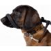 Total Pet Figure of 8 Dog Lead - Flat Anti Pull Stop Dogs Pulling Slip Leads Reflective with Padded Nose Support (180cm)