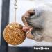 Likit Granola Stall-Ball Horse Treat 1.6kg | Flavours Apple Mixed Berry Peppermint Molasses | Long Lasting Boredom & Stress Reliever | 1.6kg - Buy Online on SooperMarket.com