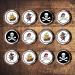 PRECUT Pirate Edible Cupcake Toppers - Pirates Theme Premium Thickness SWEETENED VANILLA - wafer card disc cake decorations (24) - Buy Online on SooperMarket.com