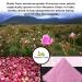 Organic Veda Edible Rose Petal Powder - Natural 16oz Powder for Cooking, Baking & DIY Beauty - Vegan, Non-GMO - Buy Online on SooperMarket.com