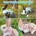3-Piece Adjustable Rabbit & Cat Leash Set - 120cm Harness for Dwarf Rabbits & Cats (3-6kg) - Perfect Cat Dishes Included - International Shipping Available - Buy Online on SooperMarket.com