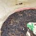 Pu-erh tea 2007 Custom Tea China Tea Brand Yiwu Round Tea 380g Raw - Buy Online on SooperMarket.com