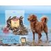 DIBO Fish Dog Treats - 200g Snacks for Dogs | Healthy In-Between Meal Options | International Shipping Available - Buy Online on SooperMarket.com