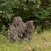 VIVO Ghillie Suit - Adult/Youth Sizes, Dry Grass/Leaf/Woodland Camo, XL/XXL - Woodland Design - Buy Online on SooperMarket.com