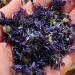 'Melody Blue' - 50g- Dried Edible Flower Petals - Blue Cornflower and Purple Mallow - Food Grade - Culinary - Cake - Bake - Decoration (342) - Buy Online on SooperMarket.com
