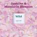 Wild - Natural Refillable Deodorant - Jasmine & Mandarin Blossom Refill Trio Pack - Vegan & Eco-Friendly - Aluminium Free - Long Lasting Protection - 100% Natural Ingredients - 3 Pack of 40g Refills Jasmine & Mandarin Blossom 40 g (Pack of 3) - Buy Online on SooperMarket.com