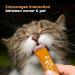 Cat Treats bundle contains Lick e Lix Chicken Webbox Licky Lix Kitten Treats and Snacks Lick-e-Lix Pack of 7 x 5's - Total 35 x 15g sachets and our Silvervine Chew Sticks - Buy Online on SooperMarket.com